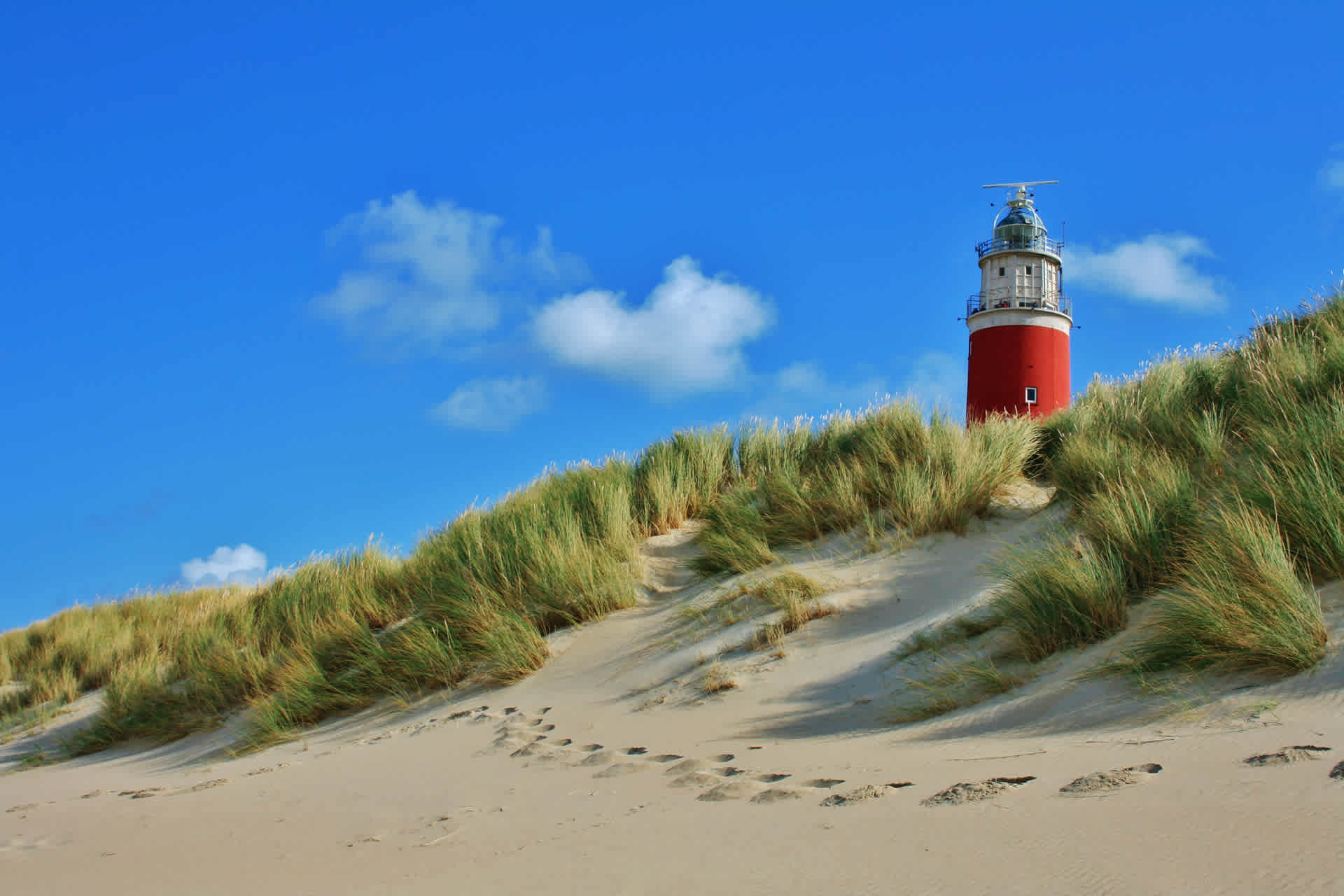 Dit is een afbeelding op De Krim Texel Nederlands